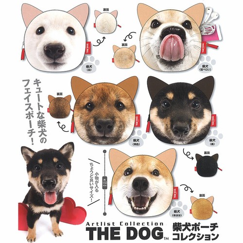 The dog shiba inu face - inu,