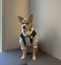 [The Dog Face] Piumino d'oca 3