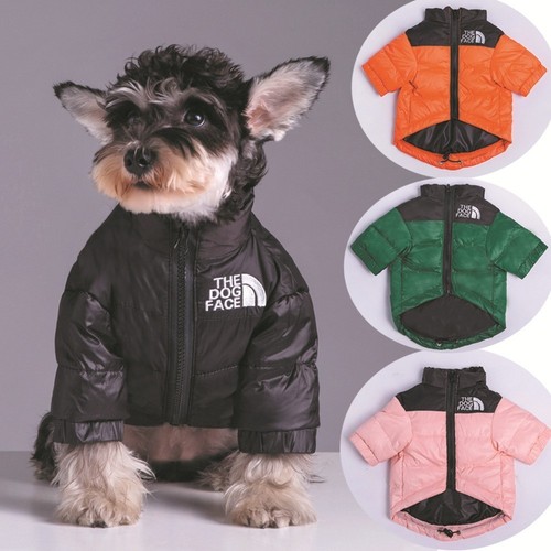 The dog face - dog, puffer