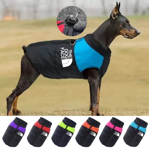 The dog face - face, invernale
