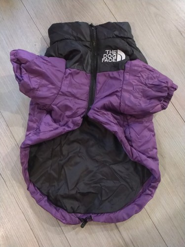 The dog face - dog, jacket