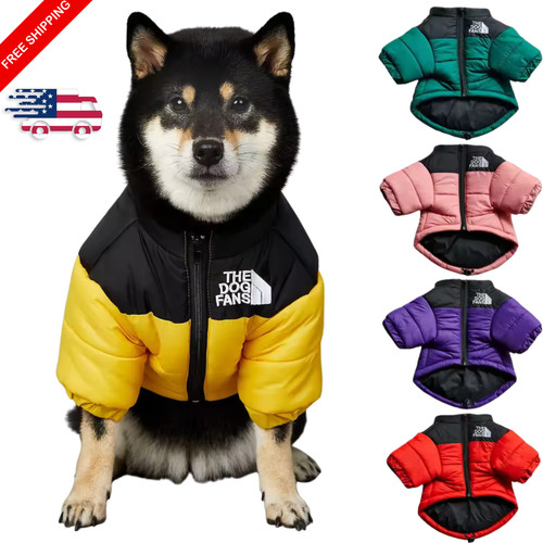 Gilet invernale per cani - cani,, il