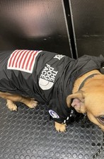 The Dog Face Jacket Giacca a