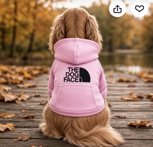 The dog face designer pet - the,