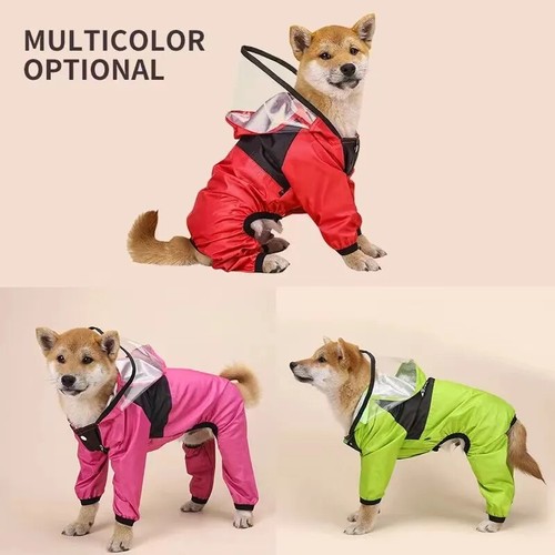 Pet raincoat the dog - raincoat, face