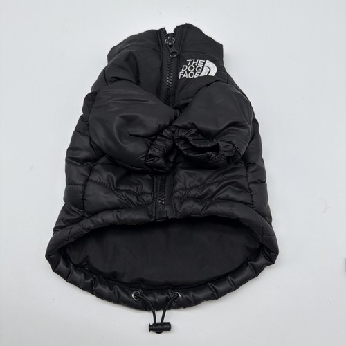The dog face puffer - face,
