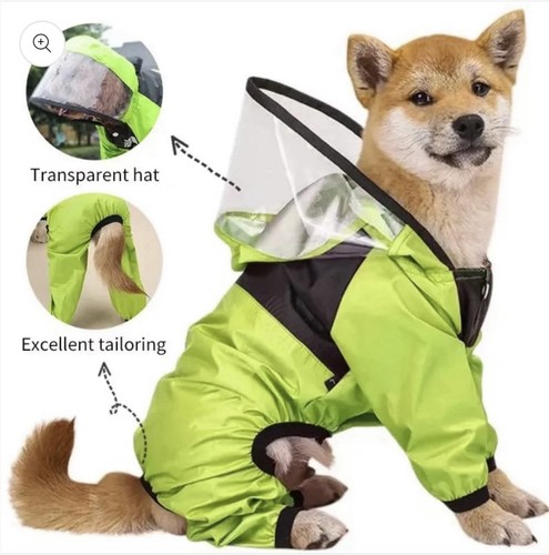 The dog face - the,