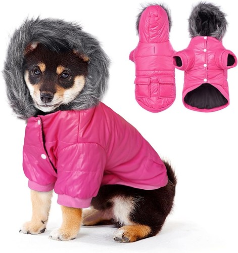 The dog face piumino invernale - dog,