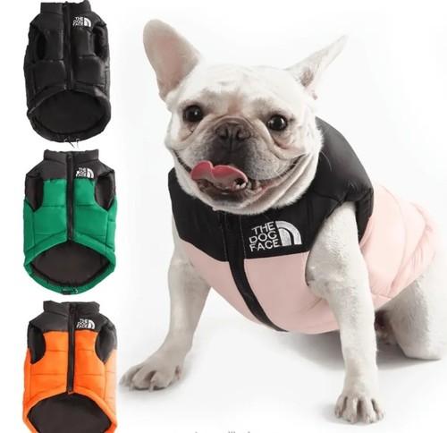 Gilet cani the dog face - cani,