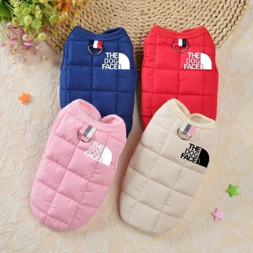 Vestiti per cani design - cani,