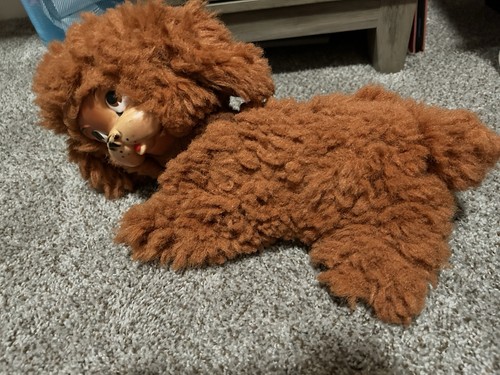 Peluche cane vintage - , 50