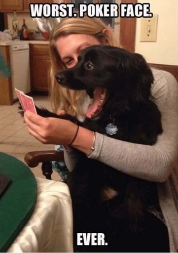 Divertente magnete viso poker